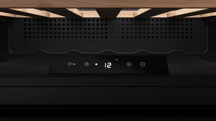 Детальное фото товара: Teka RVI 10024 BLACK GLASS