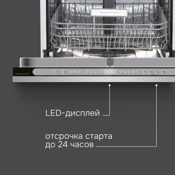 Детальное фото товара: Zigmund & Shtain DW 312.6