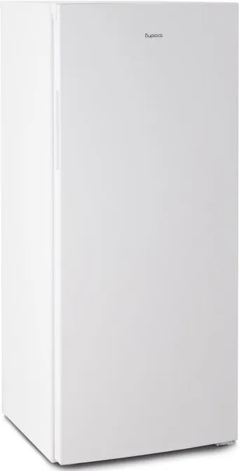 Детальное фото товара: Бирюса 6046