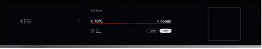 Детальное фото товара: AEG TP9SB831AB