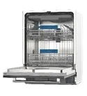 Фото товара: making Oasis everywhere BDW-6035I D