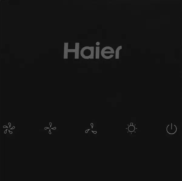 Детальное фото товара: Haier HVX-W692GB