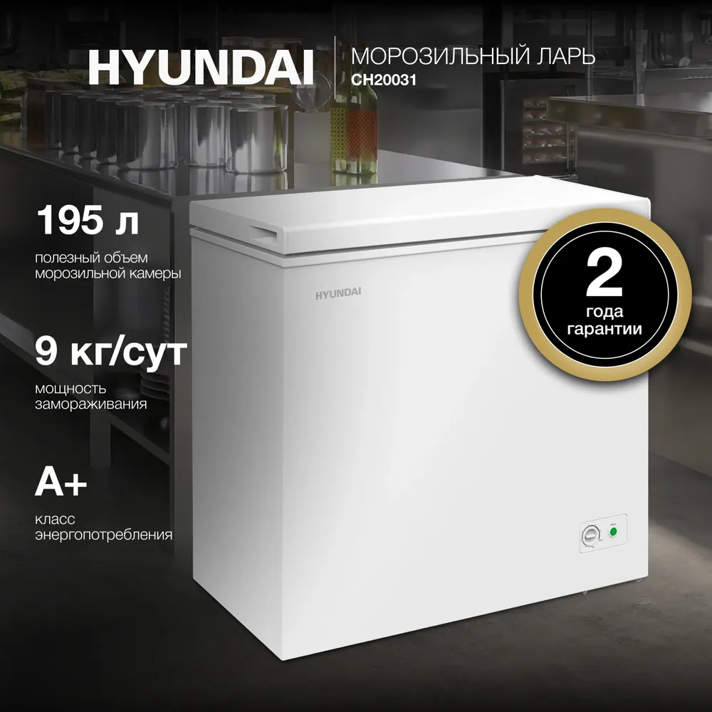 Детальное фото товара: Hyundai CH20031