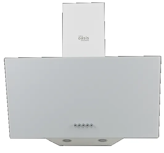 Детальное фото товара: making Oasis everywhere NP-60W