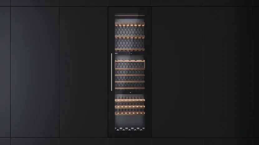 Детальное фото товара: Teka RVI 30097 BLACK GLASS