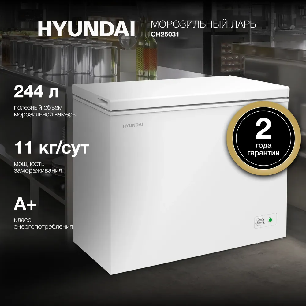 Детальное фото товара: Hyundai CH25031