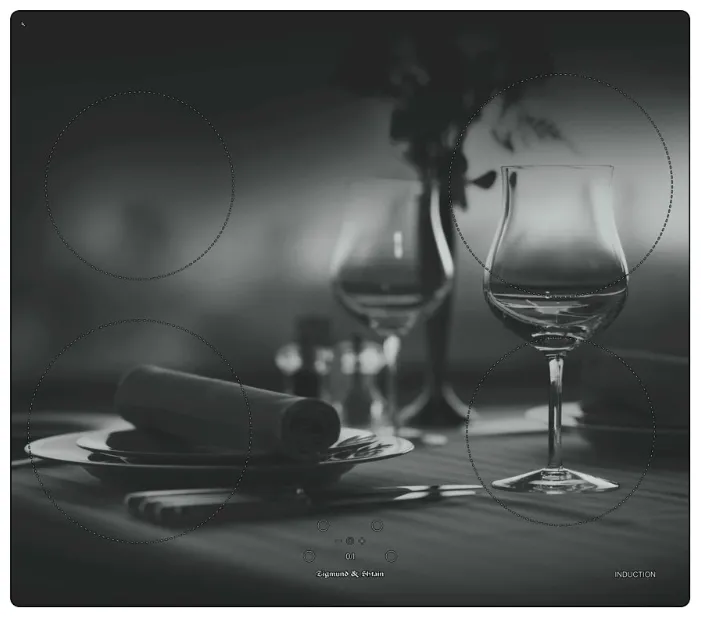 Детальное фото товара: Zigmund & Shtain CIS 219.60 DX индукционная поверхность