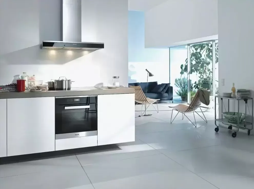 Детальное фото товара: Miele DA6698W CLST