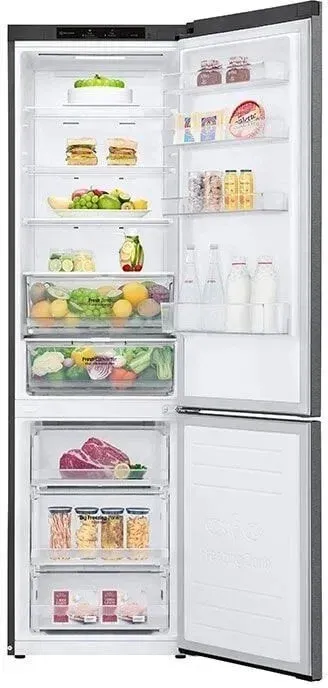 Детальное фото товара: LG GB-P62DSNGN