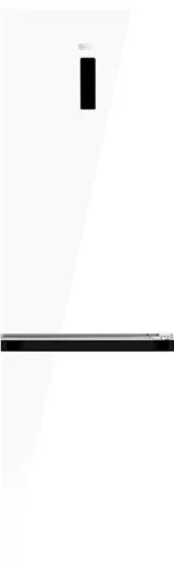 Детальное фото товара: DeLonghi DCS 19NFI BB DAMIANO