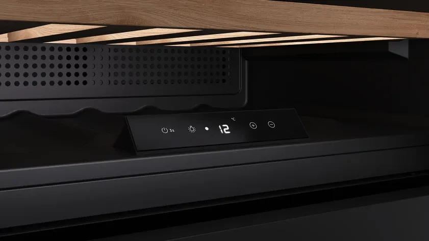 Детальное фото товара: Teka RVI 10024 BLACK GLASS