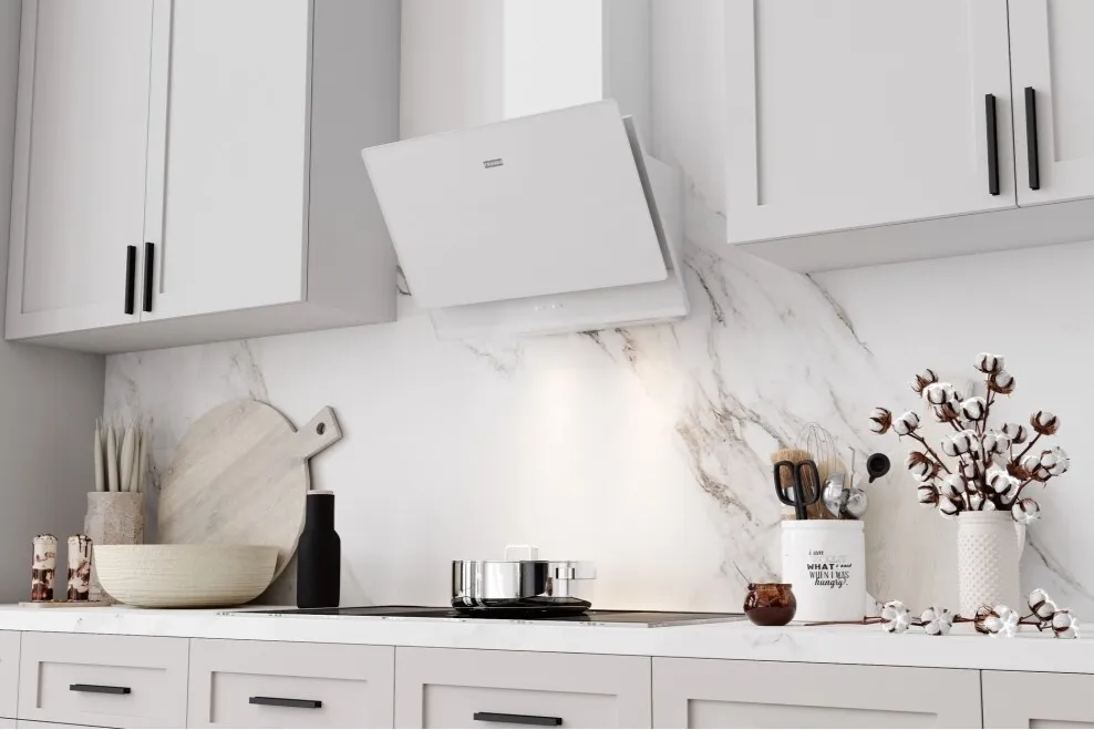 Детальное фото товара: Franke TEMPER 60 WH