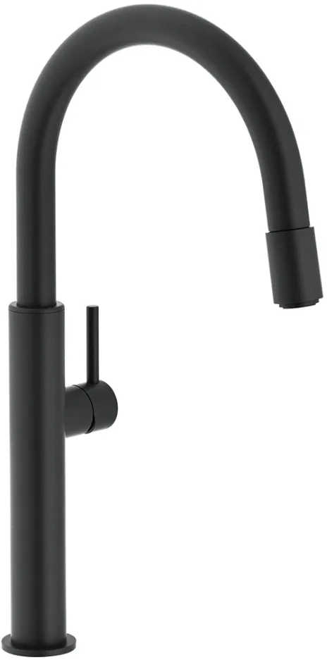 Фото товара: Franke Pescara Up&Down, смеситель, черный матовый