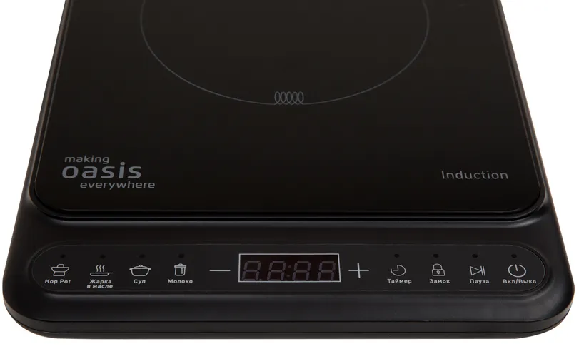 Детальное фото товара: making Oasis everywhere PI-BG3S