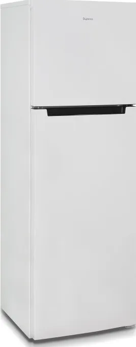 Детальное фото товара: Бирюса 6039