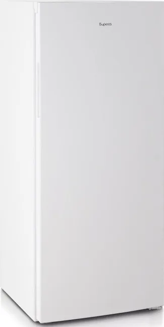 Детальное фото товара: Бирюса 6042