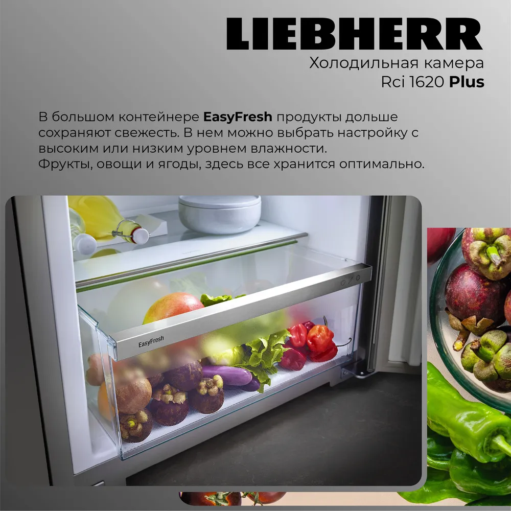 Детальное фото товара: Liebherr Rci 1620-20 001 Plus