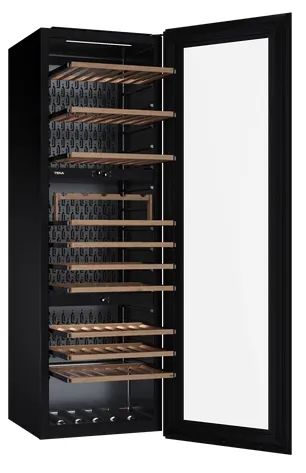 Детальное фото товара: Teka RVI 30097 BLACK GLASS