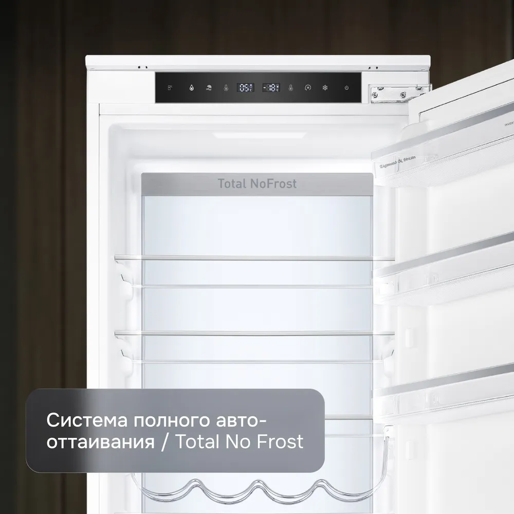 Детальное фото товара: Zigmund & Shtain BR 25 X