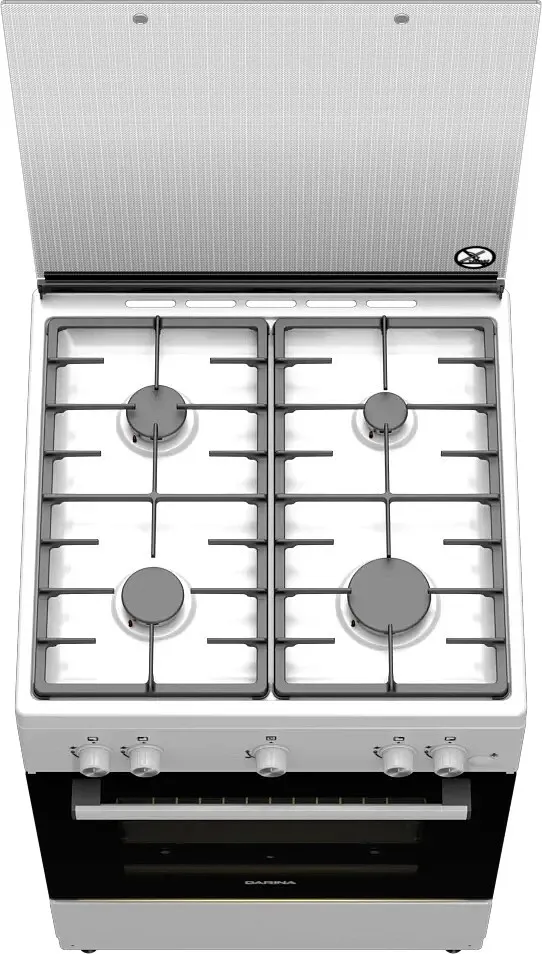 Детальное фото товара: Дарина 1 F1 GM 141 108 W