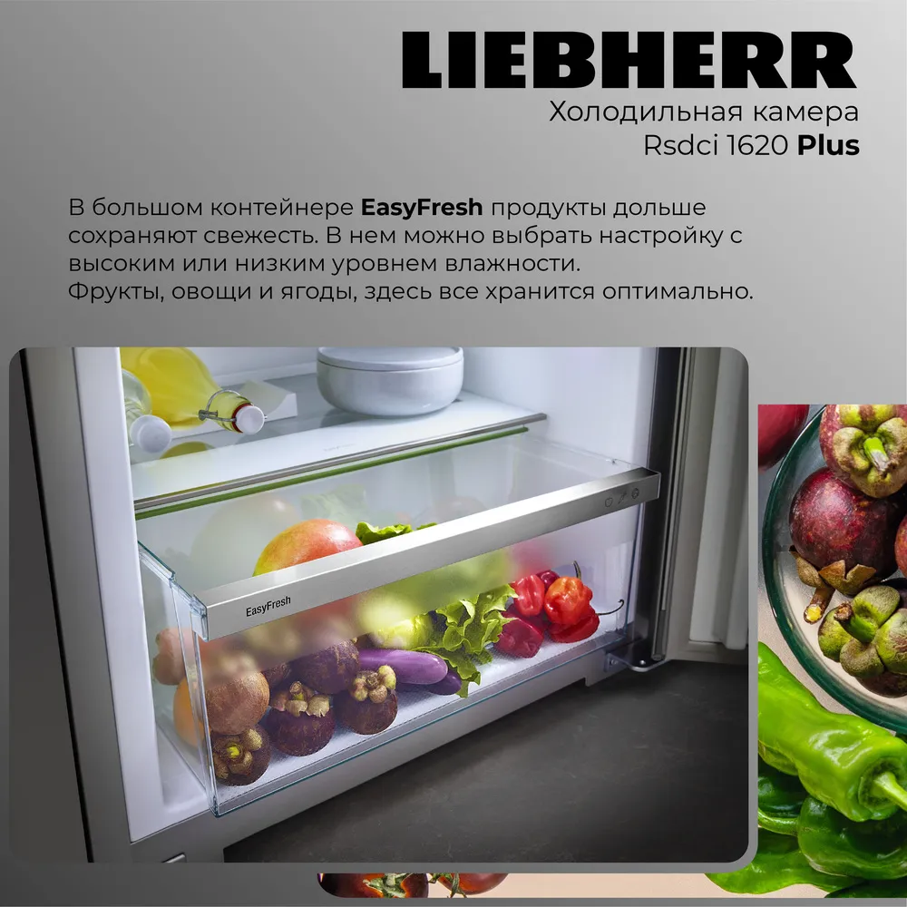 Детальное фото товара: Liebherr Rsdci 1620-20 001 Plus