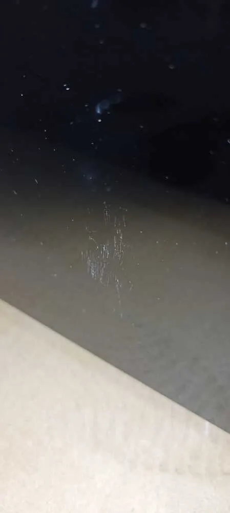 Детальное фото товара: Уценка Gorenje BOS6737E20FBG