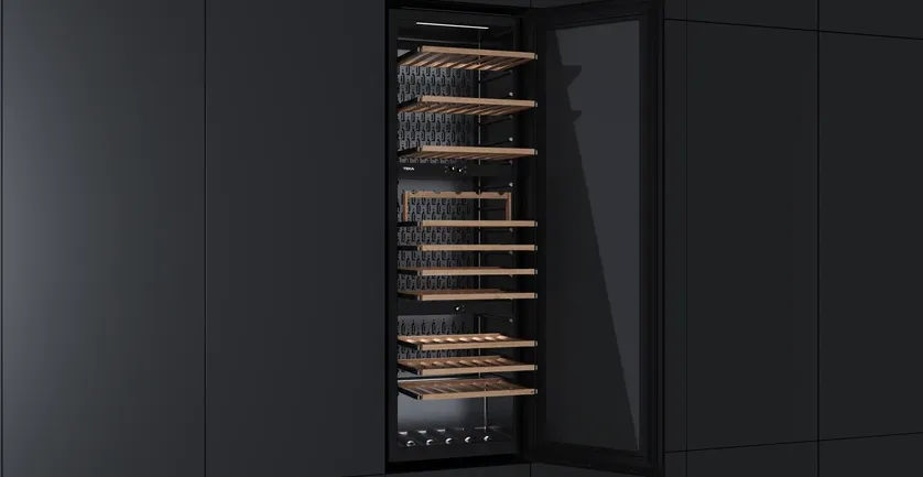 Детальное фото товара: Teka RVI 30097 BLACK GLASS