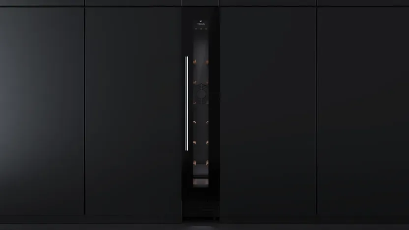 Детальное фото товара: Teka RVU 10008 BLACK GLASS