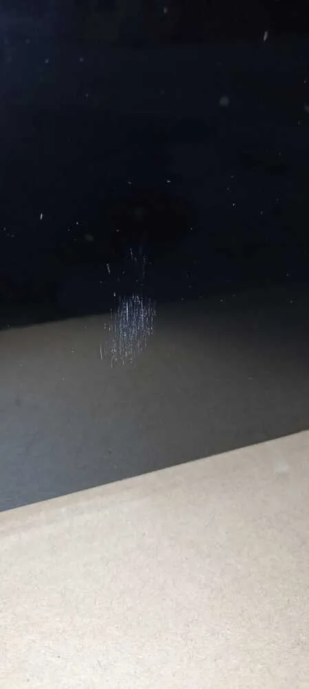 Детальное фото товара: Уценка Gorenje BOS6737E20FBG