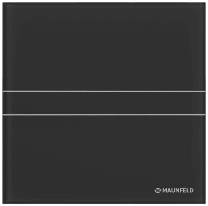 Детальное фото товара: Maunfeld MFE10TGB