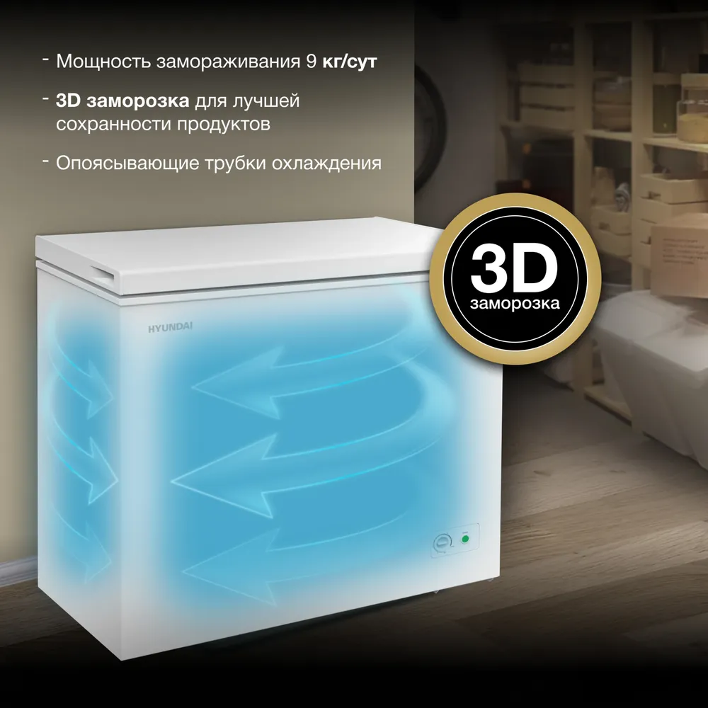 Детальное фото товара: Hyundai CH20031