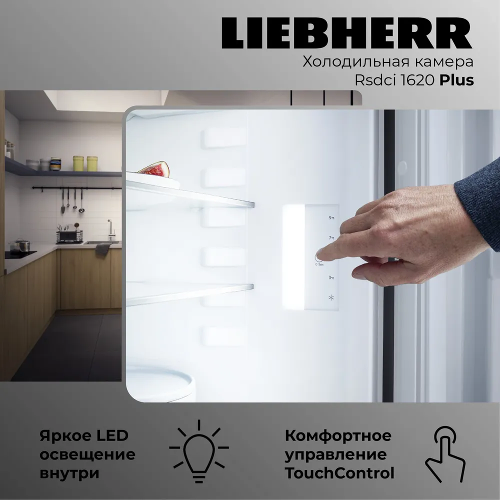 Детальное фото товара: Liebherr Rsdci 1620-20 001 Plus