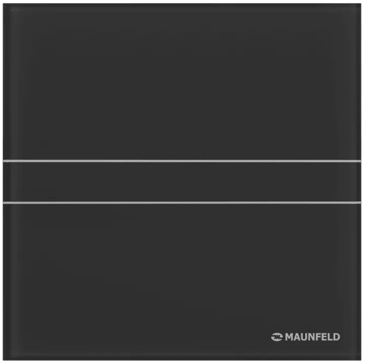 Детальное фото товара: Maunfeld MFE12TGB