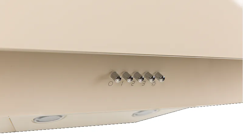 Детальное фото товара: making Oasis everywhere NS-60I