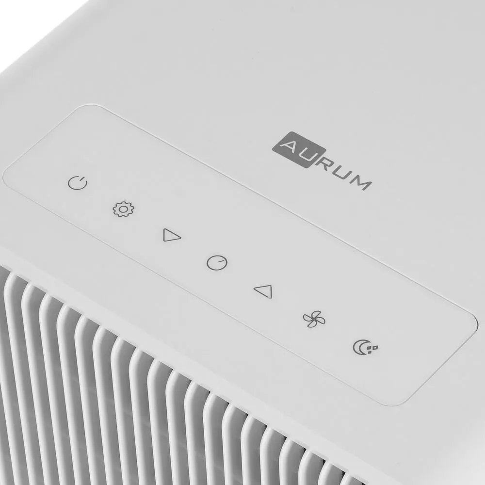 Детальное фото товара: AURUM ARC12-PCNPE1