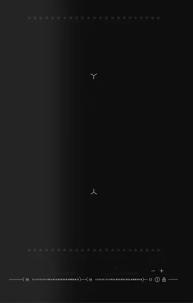 Детальное фото товара: BERTAZZONI P904ICHNE индукционная поверхность