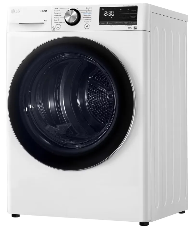 Детальное фото товара: LG DC90V9V9W