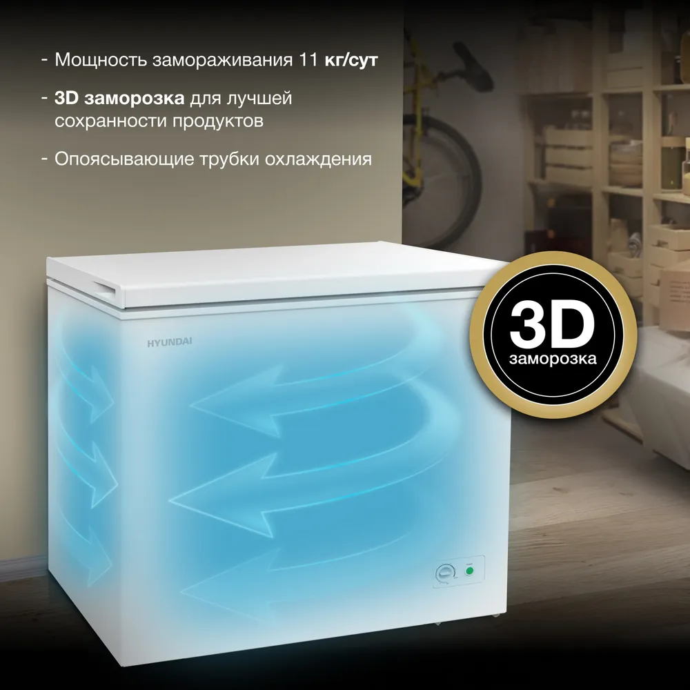 Детальное фото товара: Hyundai CH25031