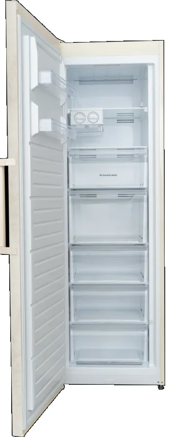 Детальное фото товара: Schaub Lorenz SLF S265X2