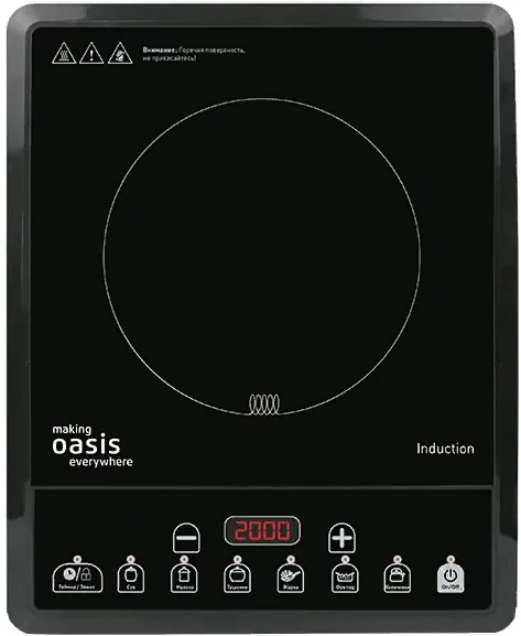 Фото товара: making Oasis everywhere PI-BS3S