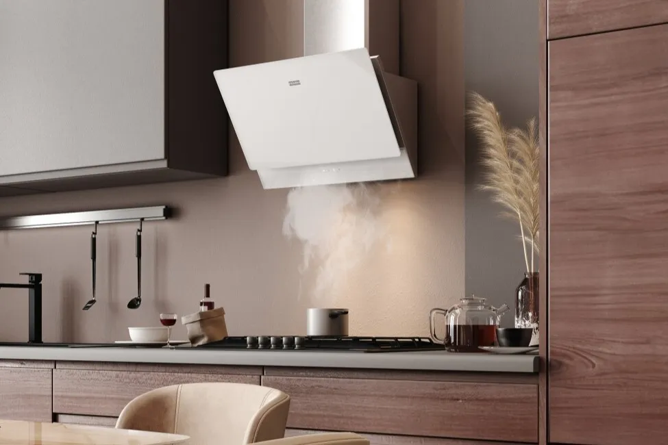 Детальное фото товара: Franke TEMPER 60 WH/SS