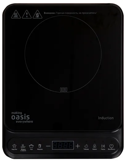 Детальное фото товара: making Oasis everywhere PI-BG3S