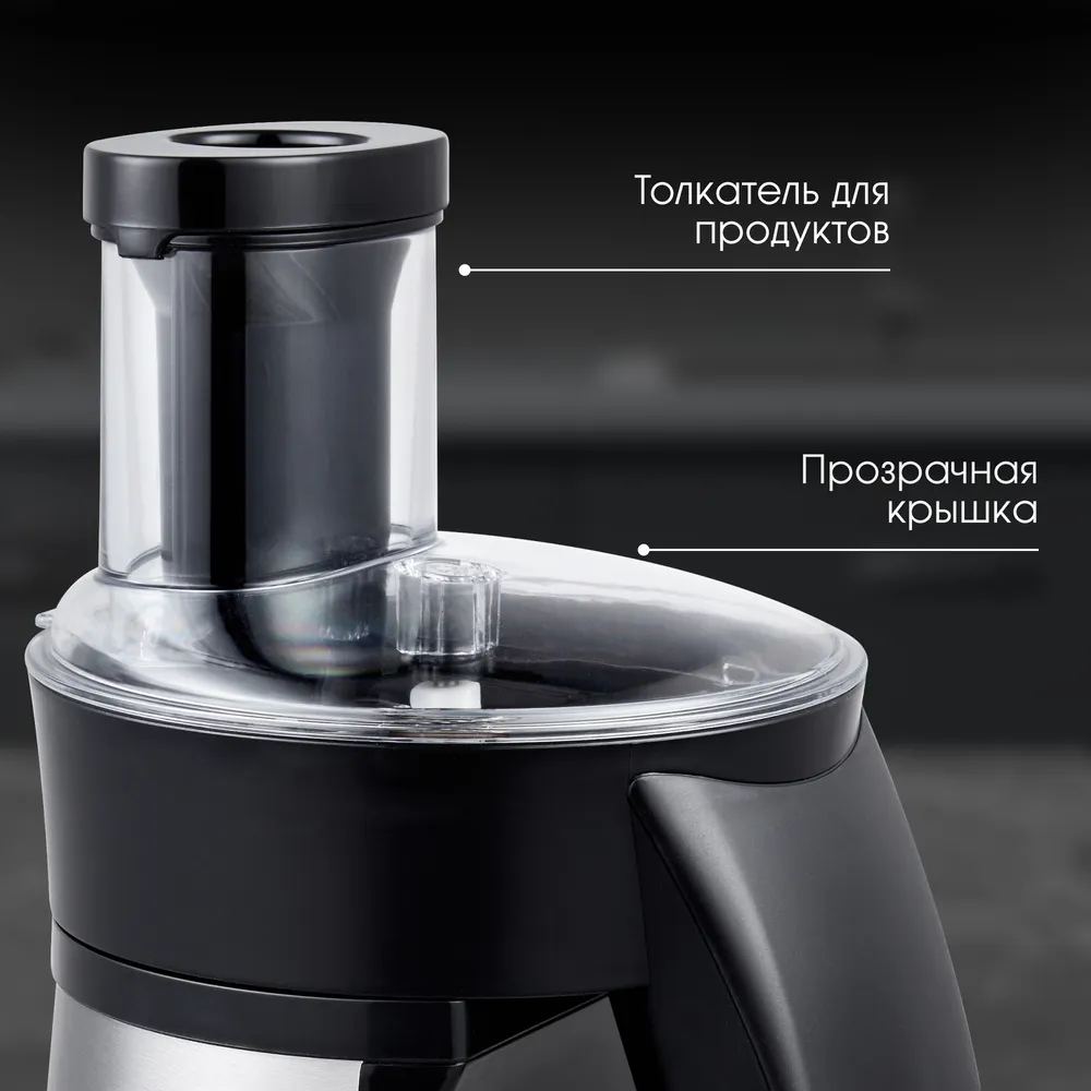 Детальное фото товара: Zigmund & Shtain SM-24