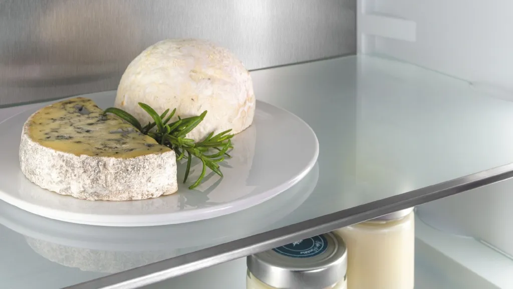 photo_2025-04-02_15-08-51 (2).jpg photo_2025-04-02_15-08-51 (2).jpg