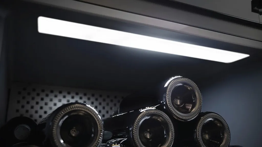 photo_2025-02-20_12-11-25 (4).jpg