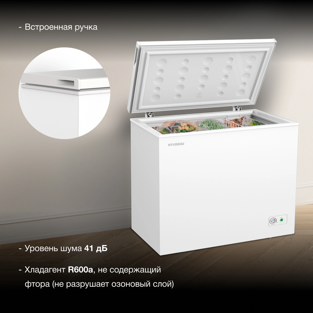 Детальное фото товара: Hyundai CH25031