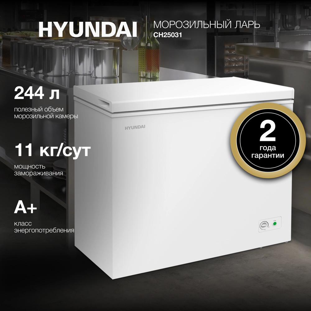 Детальное фото товара: Hyundai CH25031