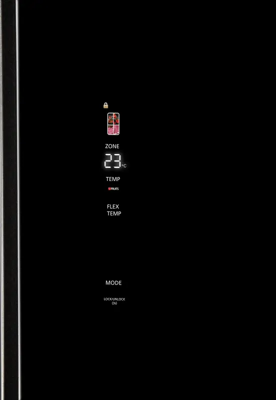 HIBERG RFQ-600DX NFGB inverter Детальное фото товара: HIBERG RFQ-600DX NFGB inverter