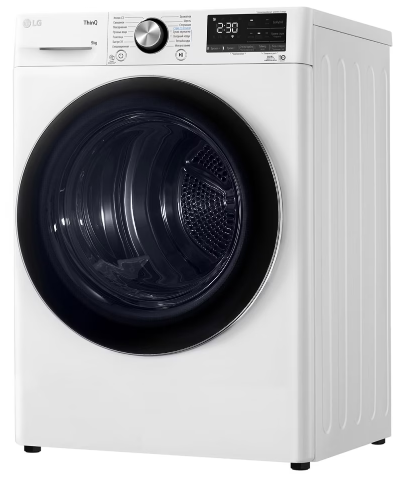 Детальное фото товара: LG DC90V9V9W