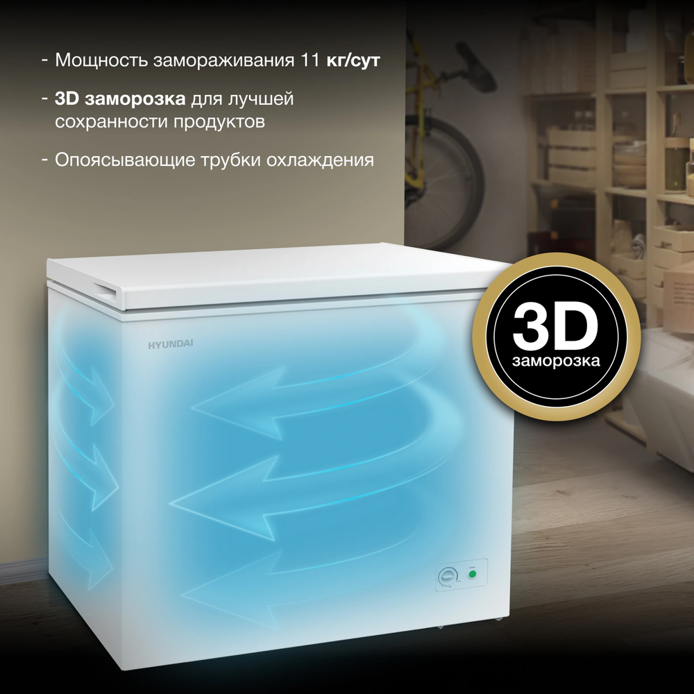 Детальное фото товара: Hyundai CH25031